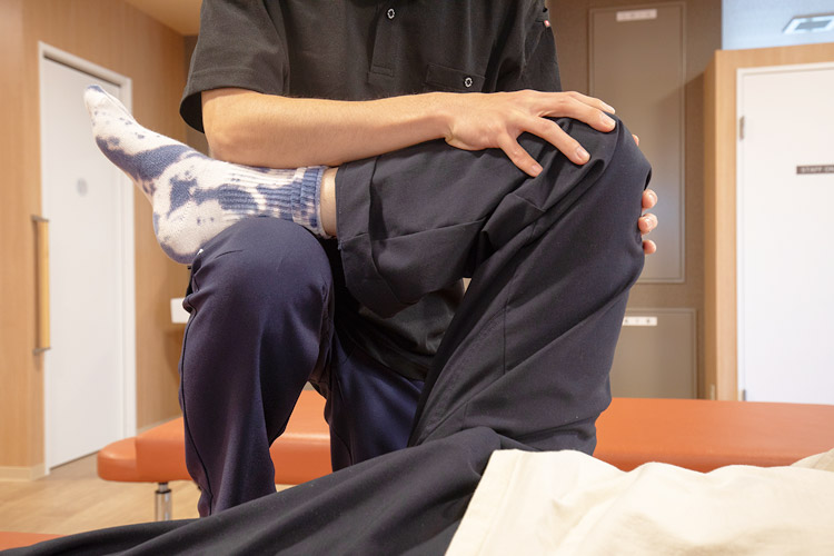 リハビリテーション2